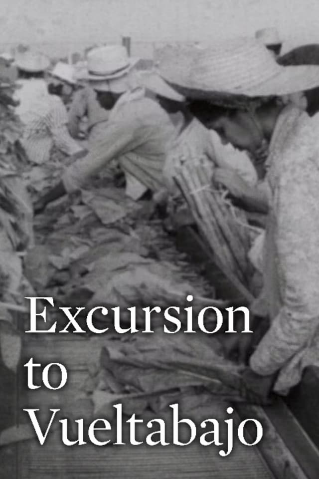 Excursion to Vueltabajo